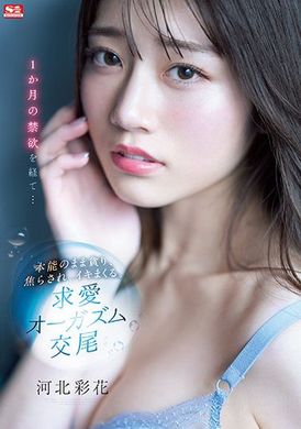 ssis-361禁欲一个月后顺着本能贪婪焦躁高潮不断的求爱高潮交配 河北彩花 - AV大平台-中文字幕,成人影片,AV,国产,线上看