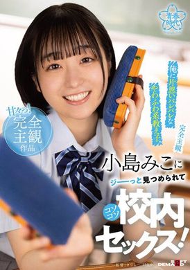 SDAB-250【完全主观镜头】被我发现偷偷暗恋我的女学生、跟小岛美子 偷偷在校内打炮！ - AV大平台-中文字幕,成人影片,AV,国产,线上看