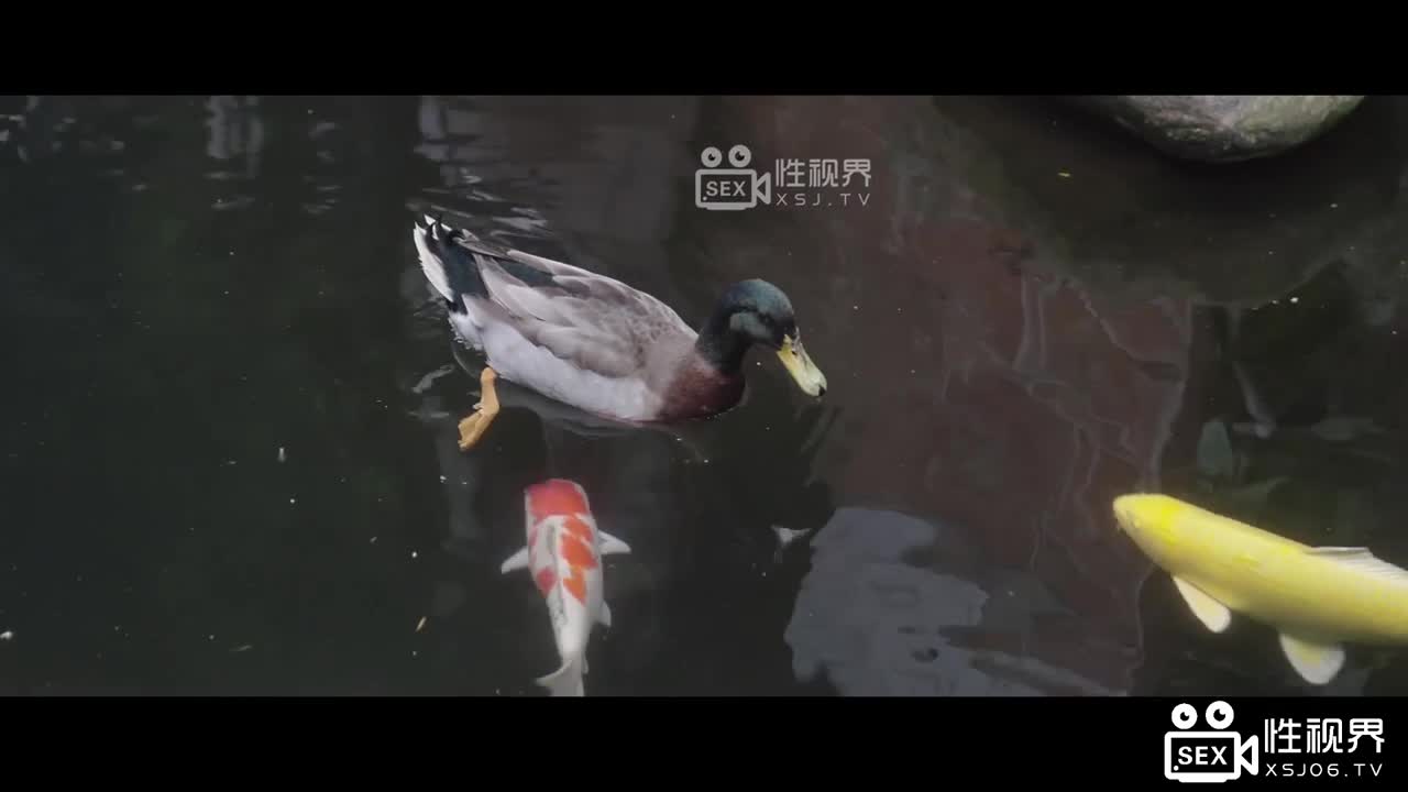 八艳淫新之孤柱一掷以身亦物：马湘兰 - AV大平台-中文字幕,成人影片,AV,国产,线上看