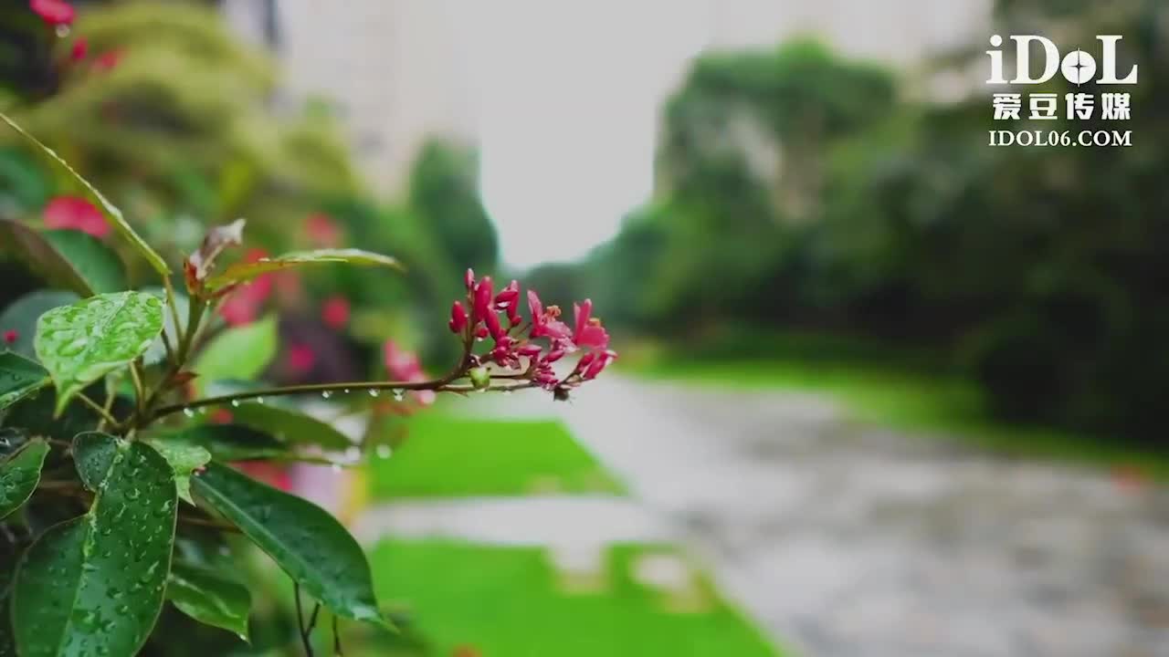 包月情妇无限次数极限性爱 - AV大平台-中文字幕,成人影片,AV,国产,线上看