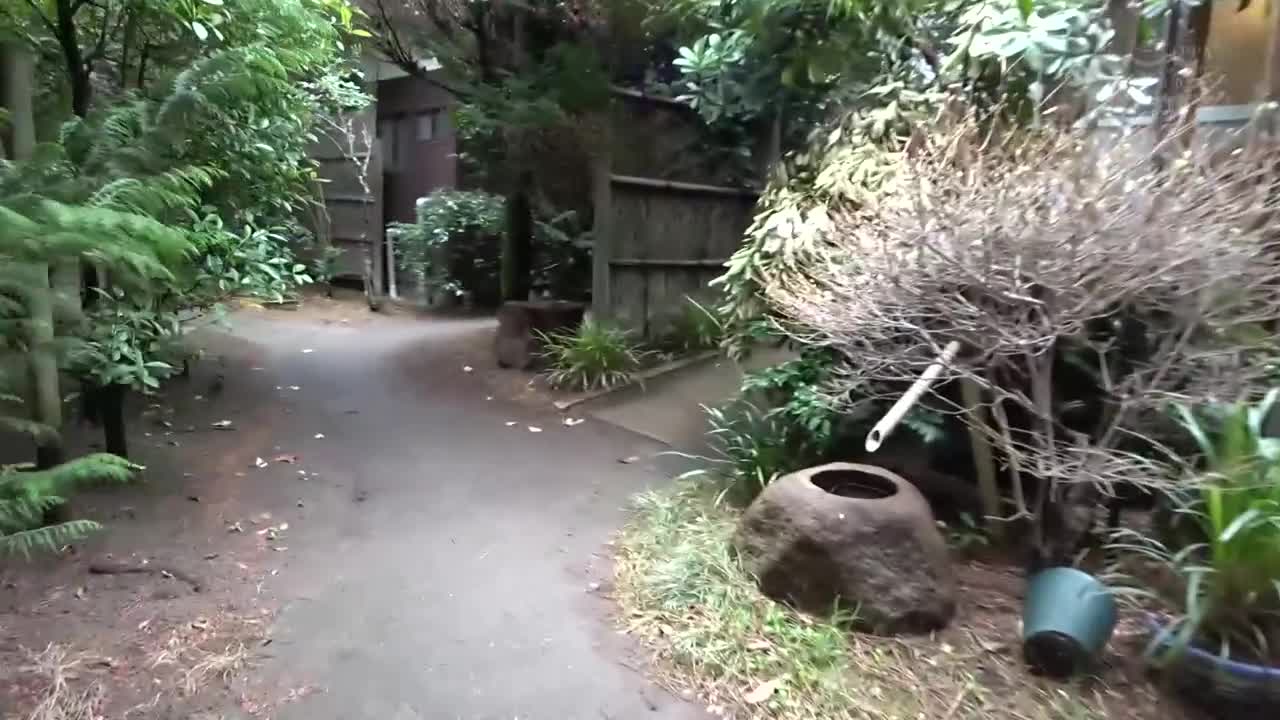 热闹极了的温泉旅行文件，与花花公子放荡不羁！曝露性爱的拍摄中出，性交！樱空桃 - AV大平台-中文字幕,成人影片,AV,国产,线上看