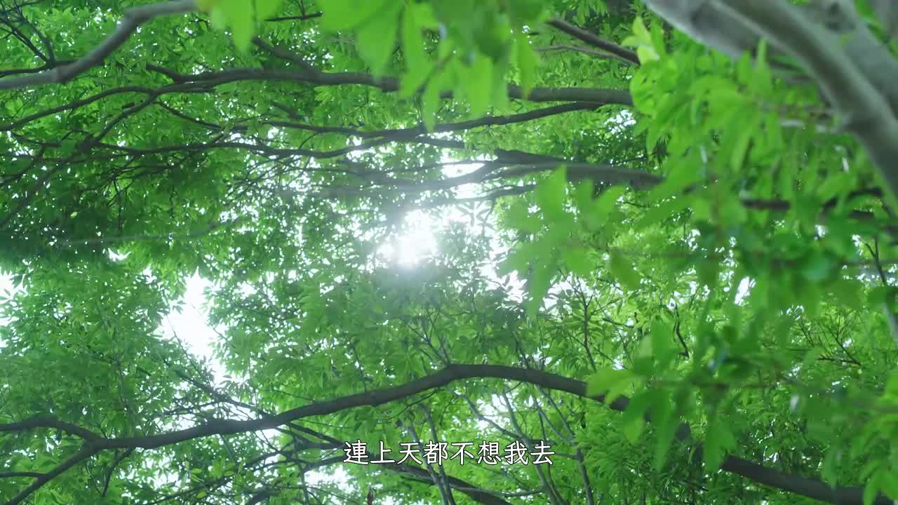 东京爱情动作故事 不如记得｜相泽南 - AV大平台-中文字幕,成人影片,AV,国产,线上看