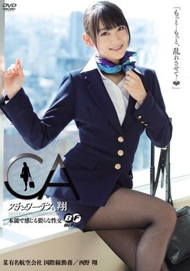 BF-240[AI解码版] 空中小姐、翔 用本能爽个不停的猥亵性交 西野翔 - AV大平台-中文字幕,成人影片,AV,国产,线上看