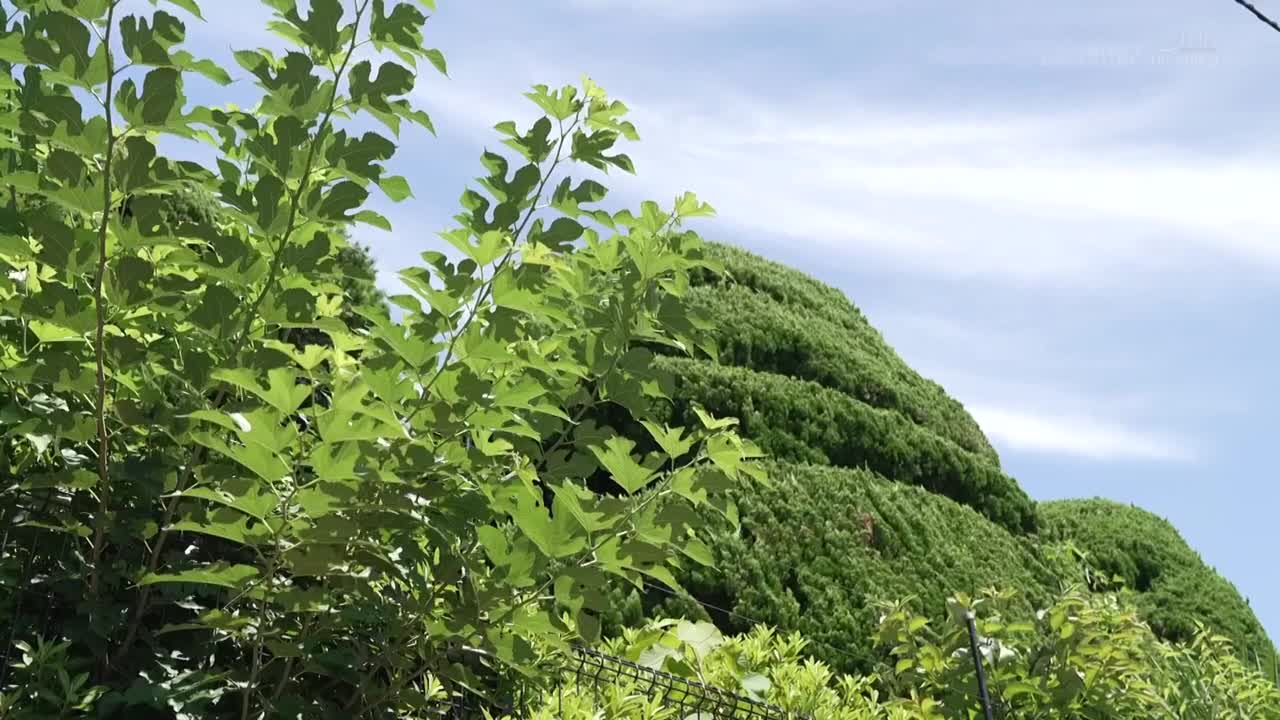 喜欢读书的我被关在奇怪的地下室.在陌生的男人们面前自慰.也被男人的视线变成了狂乱的变态女.冬爱琴音 绫瀬阳葵 - AV大平台-中文字幕,成人影片,AV,国产,线上看