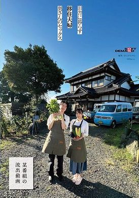 SDAM-099农村移民夫妇，妻子做爱【某节目泄漏影片】 - AV大平台-中文字幕,成人影片,AV,国产,线上看