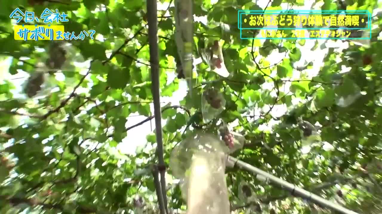 【G乳淫汁まみれ！！】エステ受付のハツラツ巨乳美少女をサボらせて秩父へ！！体毛好きな彼女にチ●ポの毛を見せつけなし崩しエッチ！！一心不乱に腰を打ちつける汗だくパッション性交！！ - AV大平台-中文字幕,成人影片,AV,国产,线上看