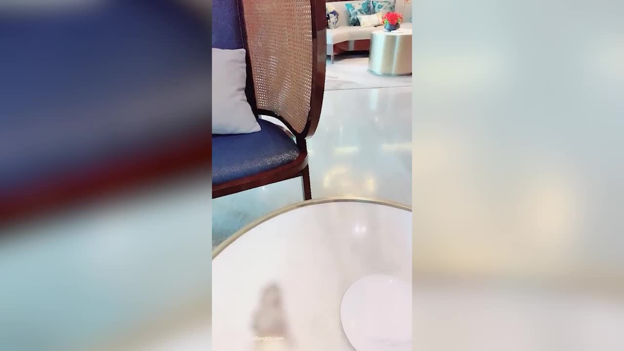 佛山院子售楼部经理光天化日潜规则售楼员小姐姐，无所事事没有业务拉到卫生间打一炮解解压 - AV大平台-中文字幕,成人影片,AV,国产,线上看