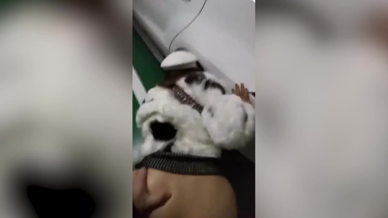 ❤重磅福利❤森杰S圈养调教极品双奴小玲曼曼开发过程记录 -2 - AV大平台-中文字幕,成人影片,AV,国产,线上看
