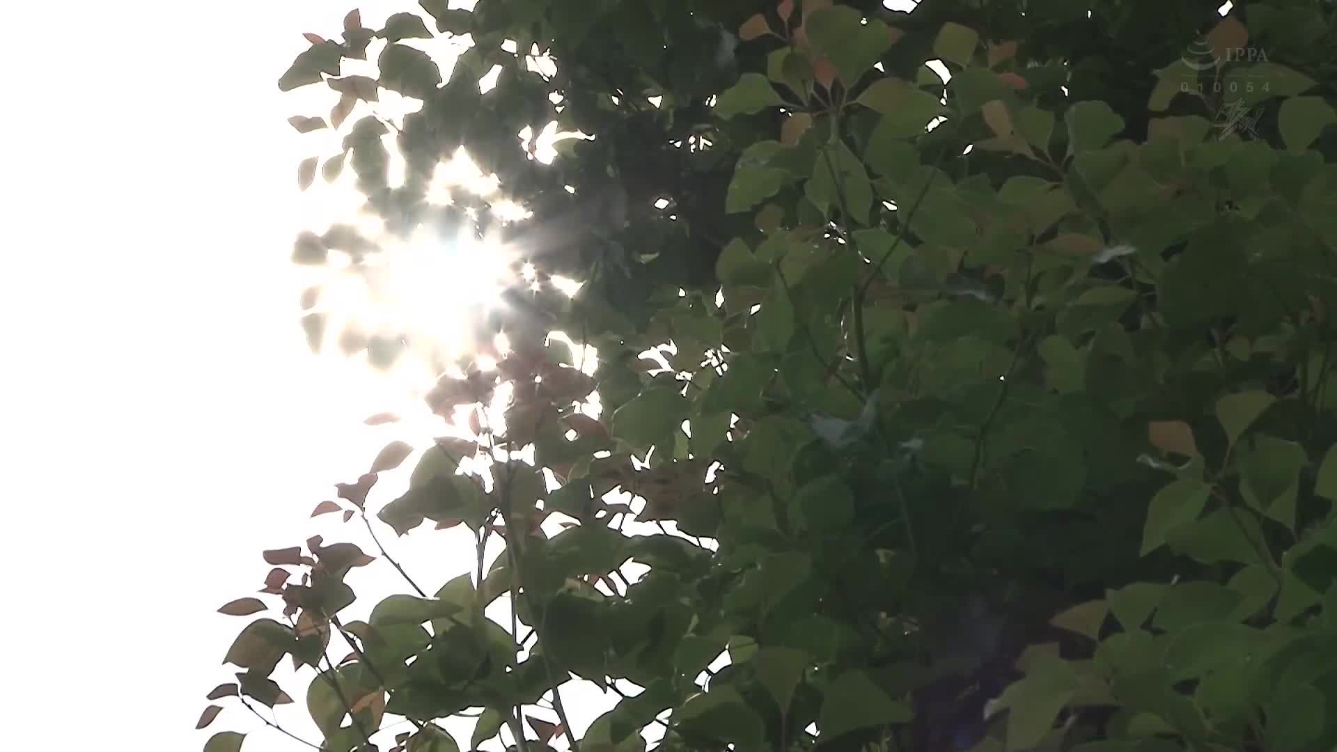 每天向妈妈散发爱的气息，一个月后，与失去理性的妈妈多次进行生育性行为。妃光莉 - AV大平台-中文字幕,成人影片,AV,国产,线上看