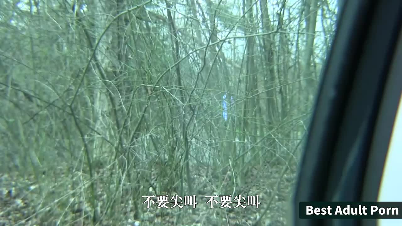 女学生没钱付车资 只好用肉体刷卡 - AV大平台-中文字幕,成人影片,AV,国产,线上看
