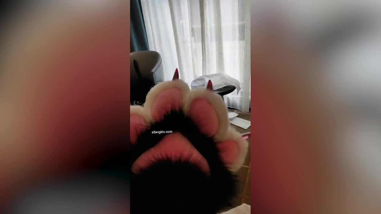 露脸才是王道！清纯学生妹不好好学习非要做有钱爸爸的小母狗 - AV大平台-中文字幕,成人影片,AV,国产,线上看