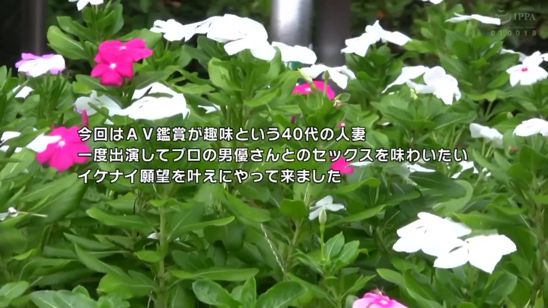 綺麗なアナルのおばさん不倫 - AV大平台-中文字幕,成人影片,AV,国产,线上看
