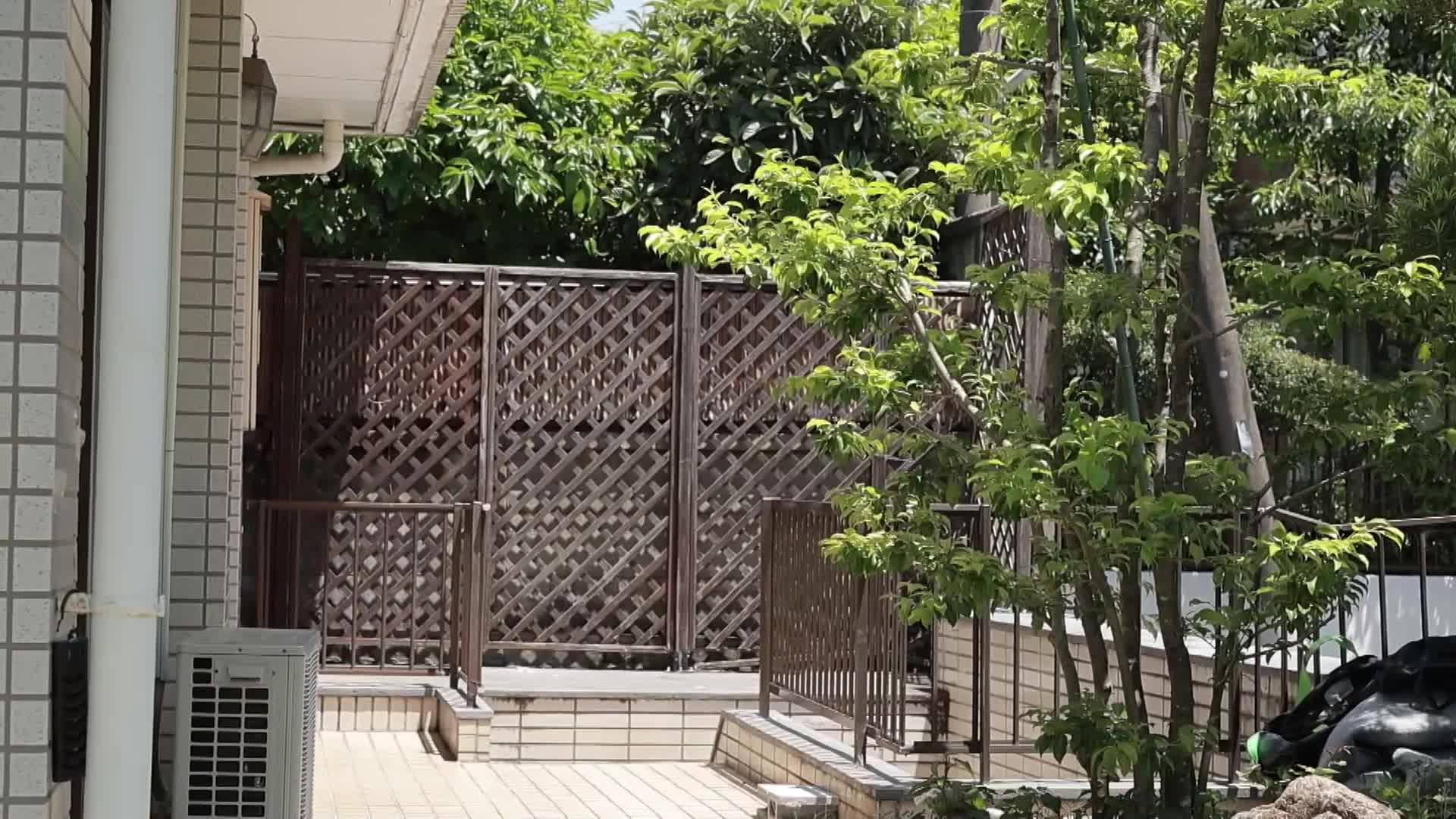 在亡夫面前湿润的女人 七海蒂娜 - AV大平台-中文字幕,成人影片,AV,国产,线上看