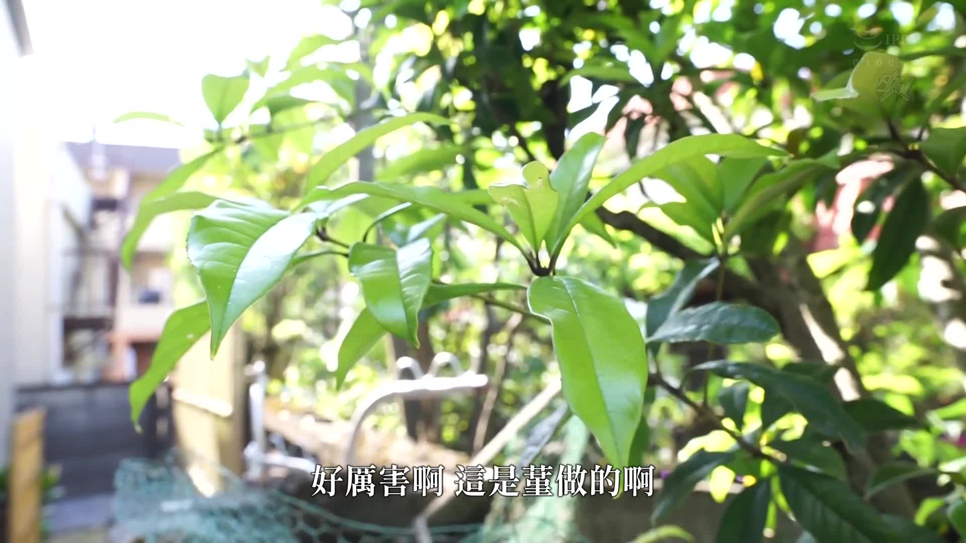 华奢纤细的美少女女友被我的父亲抢走并被种植的故事。仓本蓳 - AV大平台-中文字幕,成人影片,AV,国产,线上看