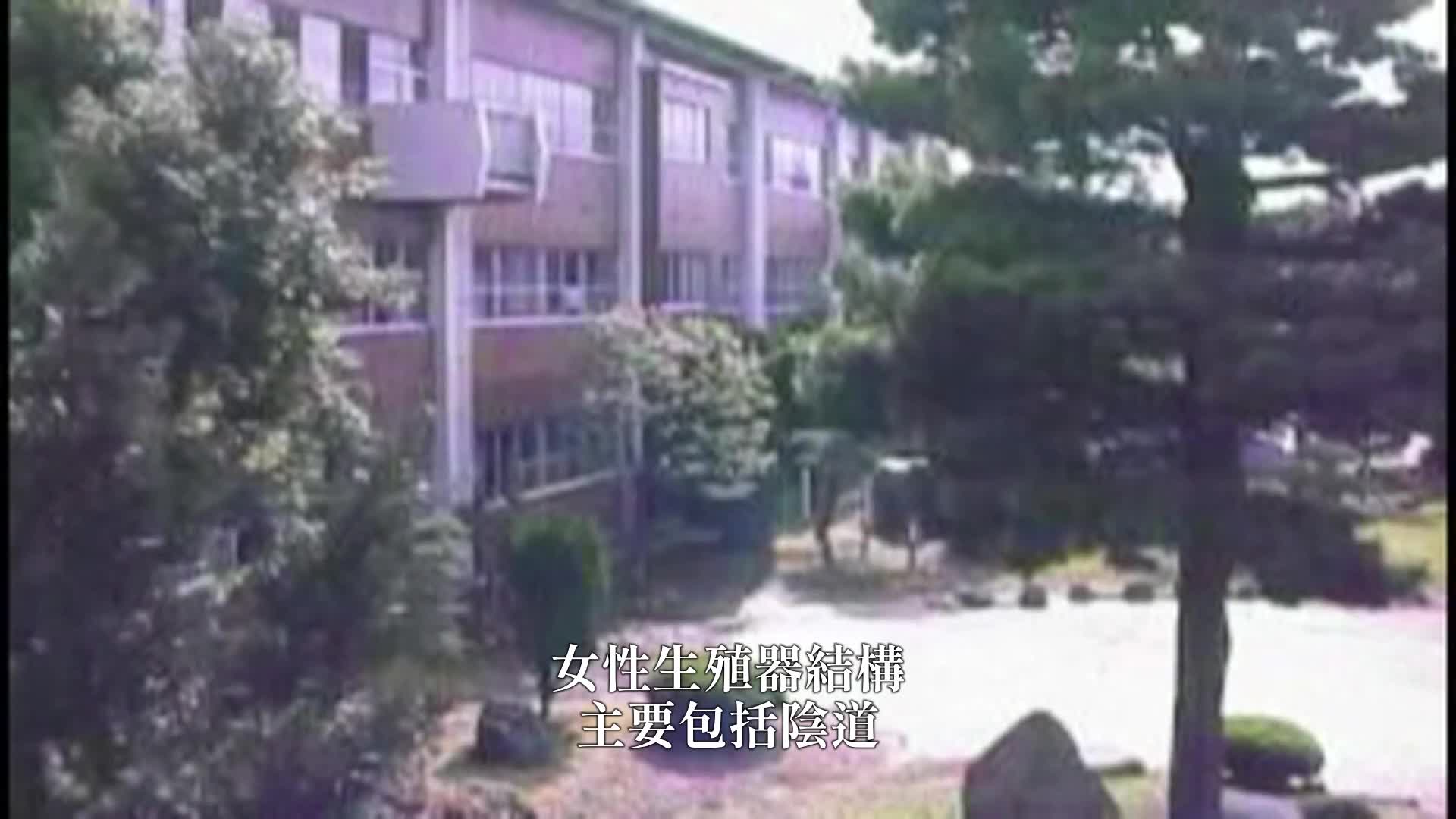 熟女教师的性生活3 - AV大平台-中文字幕,成人影片,AV,国产,线上看