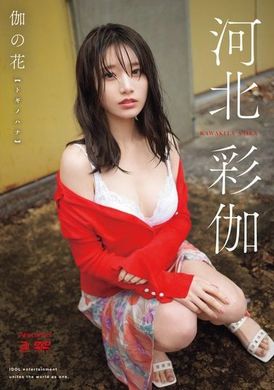 OAE-262伽之花 河北彩伽 - AV大平台-中文字幕,成人影片,AV,国产,线上看