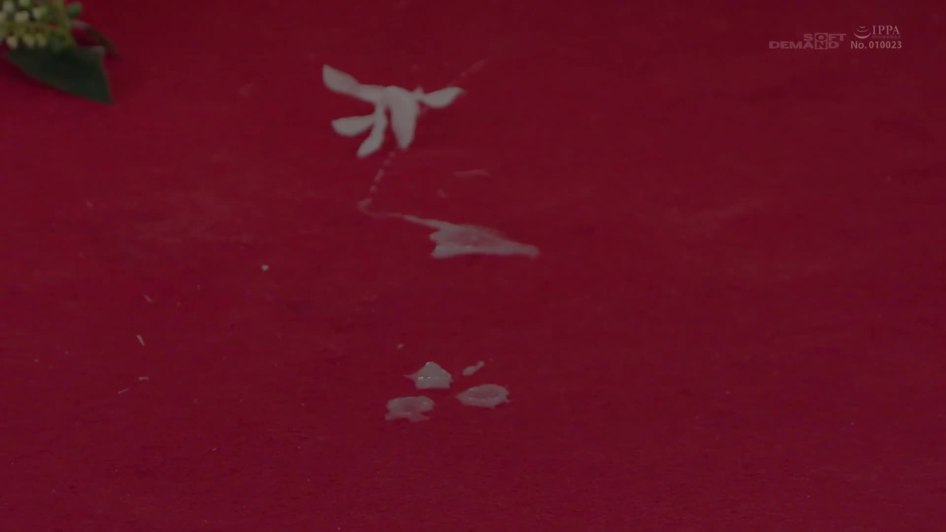 「SEX融入日常生活」-「常时性行为」记者会见 - AV大平台-中文字幕,成人影片,AV,国产,线上看