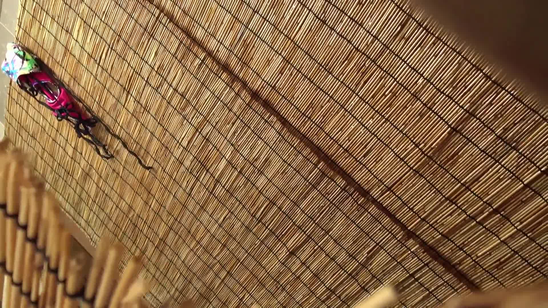 海岸上的海滩派对：穿著比基尼的女孩疯狂自慰 - AV大平台-中文字幕,成人影片,AV,国产,线上看