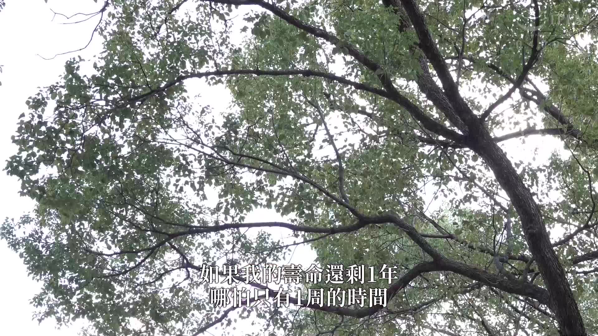 溺于老人照护的甜蜜滋味：祈山爱 - AV大平台-中文字幕,成人影片,AV,国产,线上看