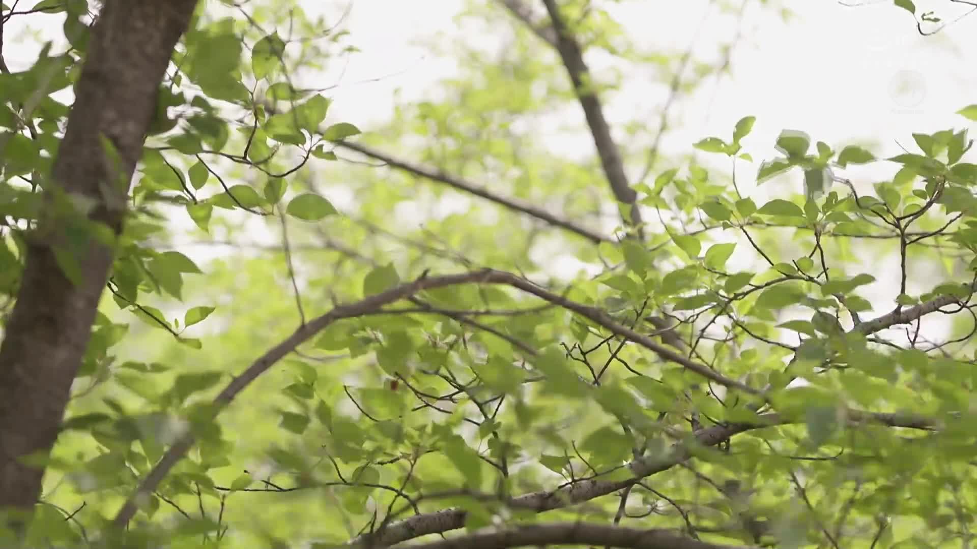得到合钥匙的已婚女人，在男学生毕业前被射精入屋的独居公寓。星宫一花 - AV大平台-中文字幕,成人影片,AV,国产,线上看