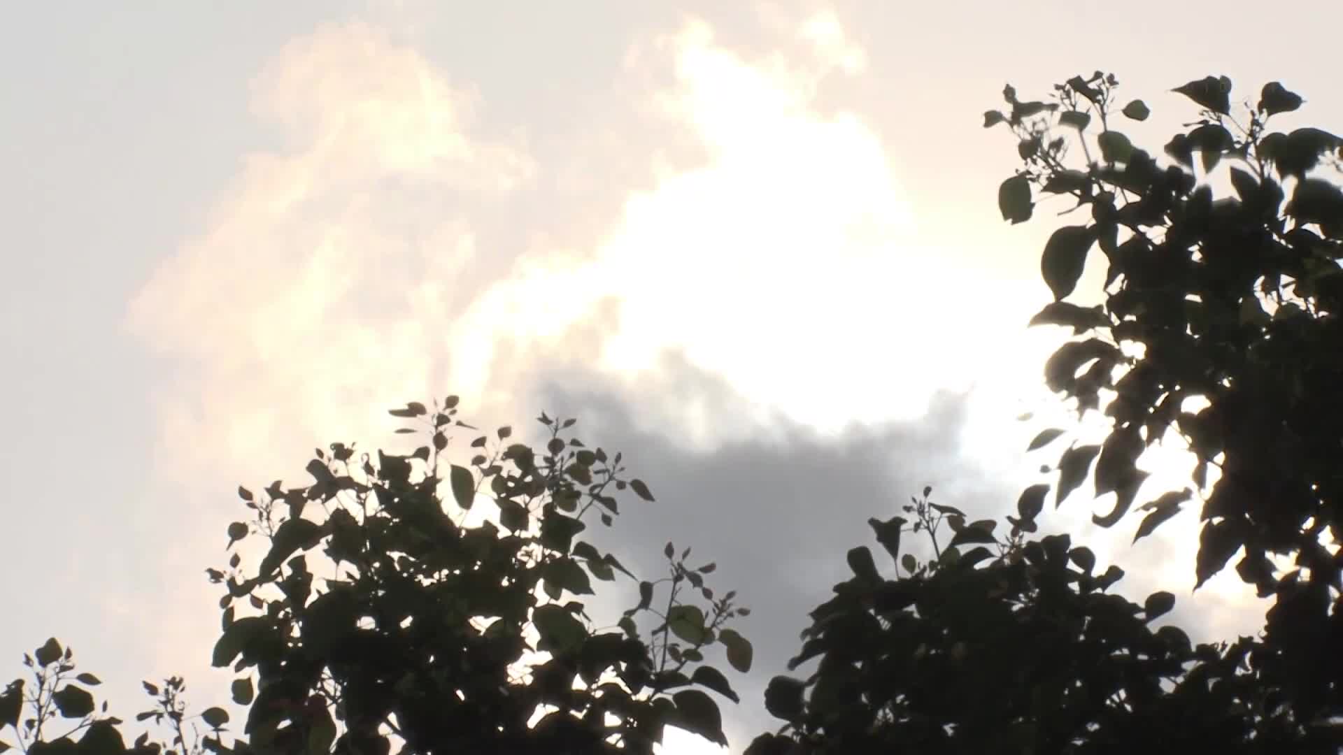 絕對命令訂閱 可愛但是，欺負人的討厭女人被我用金錢的力量在男朋友面前搶走了。美園和花 - AV大平台 - 中文字幕，成人影片，AV，國產，線上看